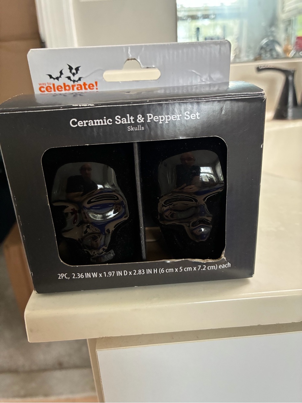 Black Ceramic Skull Salt & Pepper Set